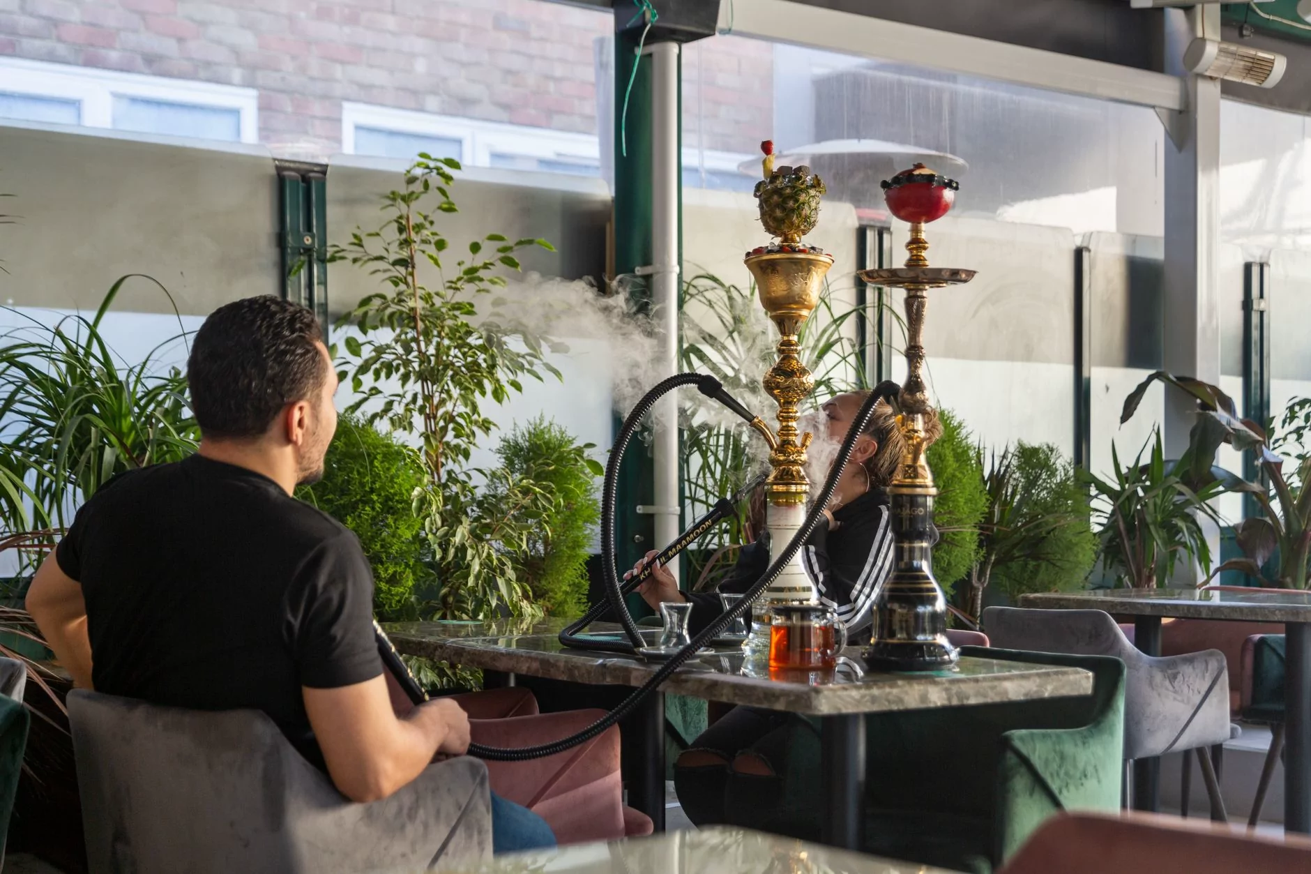 Two men enjoying shisha pipes in a cozy indoor hookah lounge, surrounded by indoor plants.
